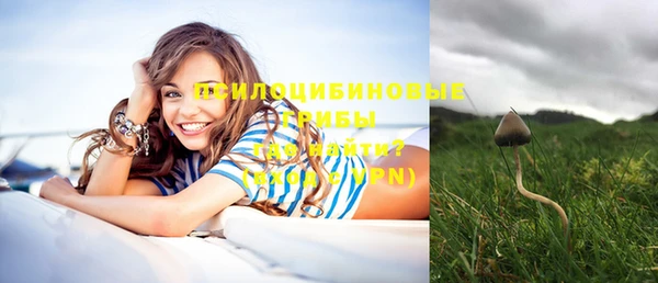 дживик Снежногорск