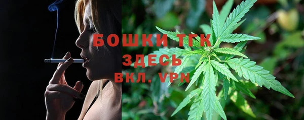 эйфоретик Белокуриха