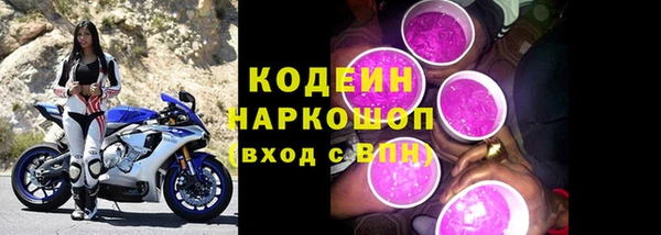 дживик Снежногорск