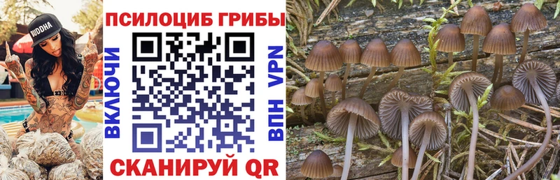 магазин    Володарск  Галлюциногенные грибы Magic Shrooms 