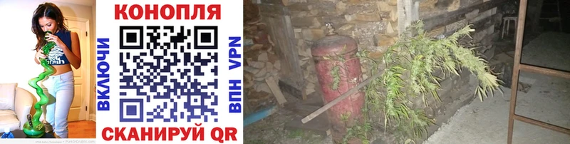 Шишки марихуана AK-47 Володарск